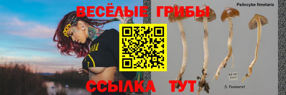 цены   Галлюциногенные грибы Psilocybe  Вход с VPN  Сегежа 